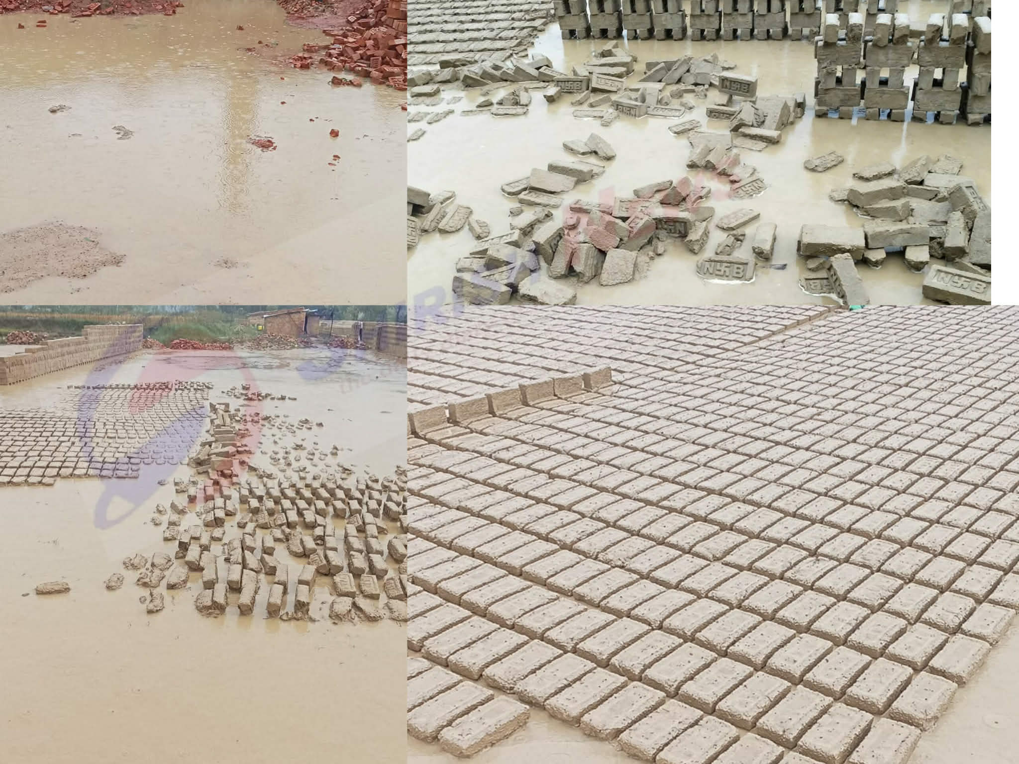 असामयिक वर्षाले इँटा उद्योगमा ठूलो धक्का : महोत्तरीमा करोडौं क्षति