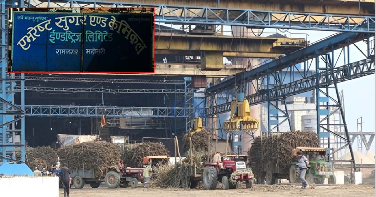 एभरेष्ट चिनी उद्योगमा उखु अभाव