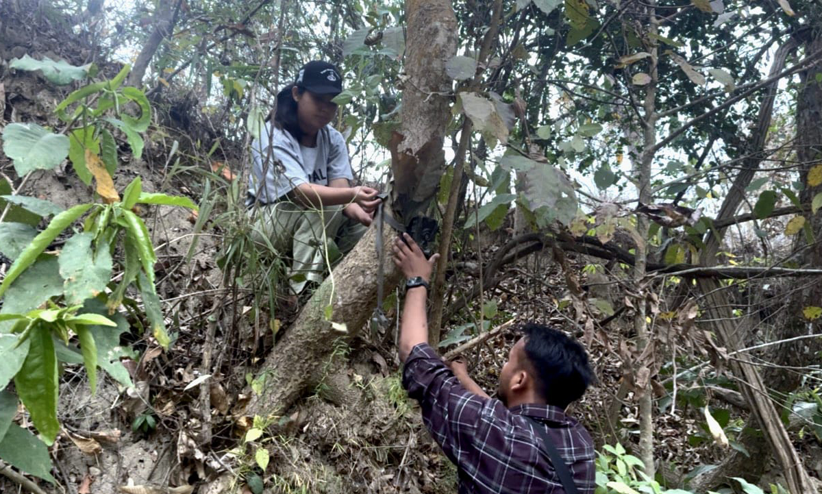 धनुषाको वन क्षेत्रमा क्यामेरा जडान