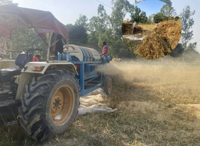 महोत्तरीमा चैते बाली भित्र्याउन किसान व्यस्त,लागत वृद्धि र मजदुर अभावले समस्या