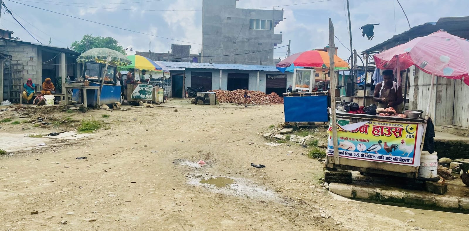 महोत्तरीमा बधशाला अभाव,प्रदूषित मासु उपभोग बाध्यता