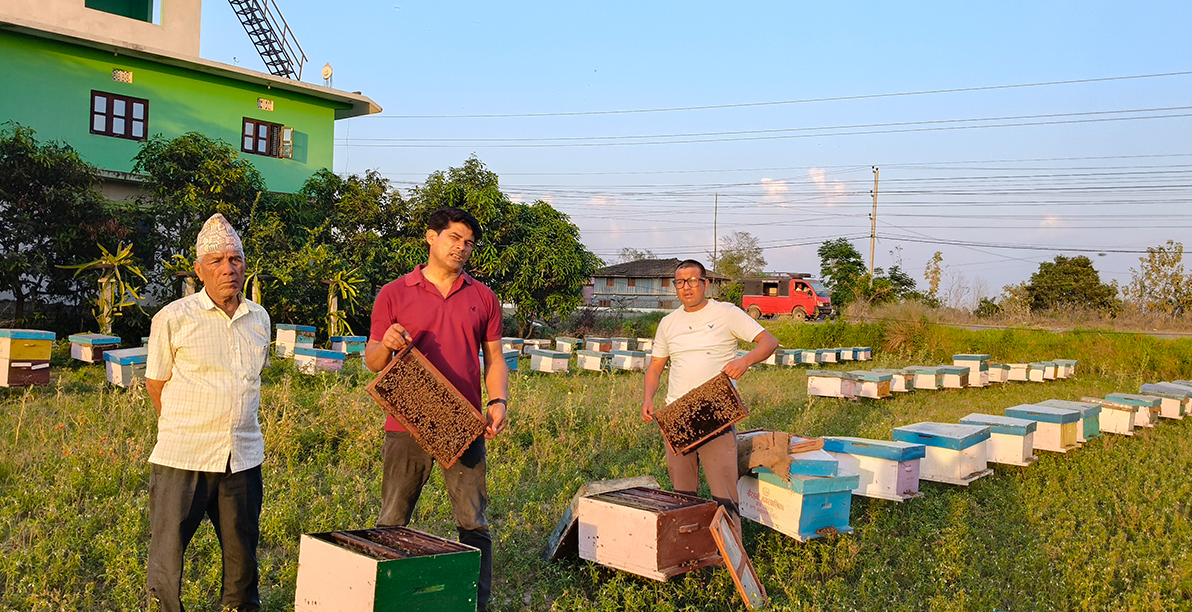 पासपोर्ट थन्काएर घार समाते, मौरीले फेरिदियो जिन्दगी