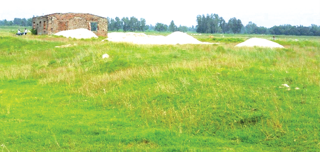 ३० बर्षमा बनेन मणिपाल कलेज, बहुमुल्य जग्गा गौचरणमा परिणत