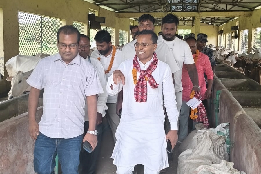 निगौल गाई गौशालाका समस्या समाधानका लागि समन्वय गर्ने मन्त्रीको प्रतिबद्धता