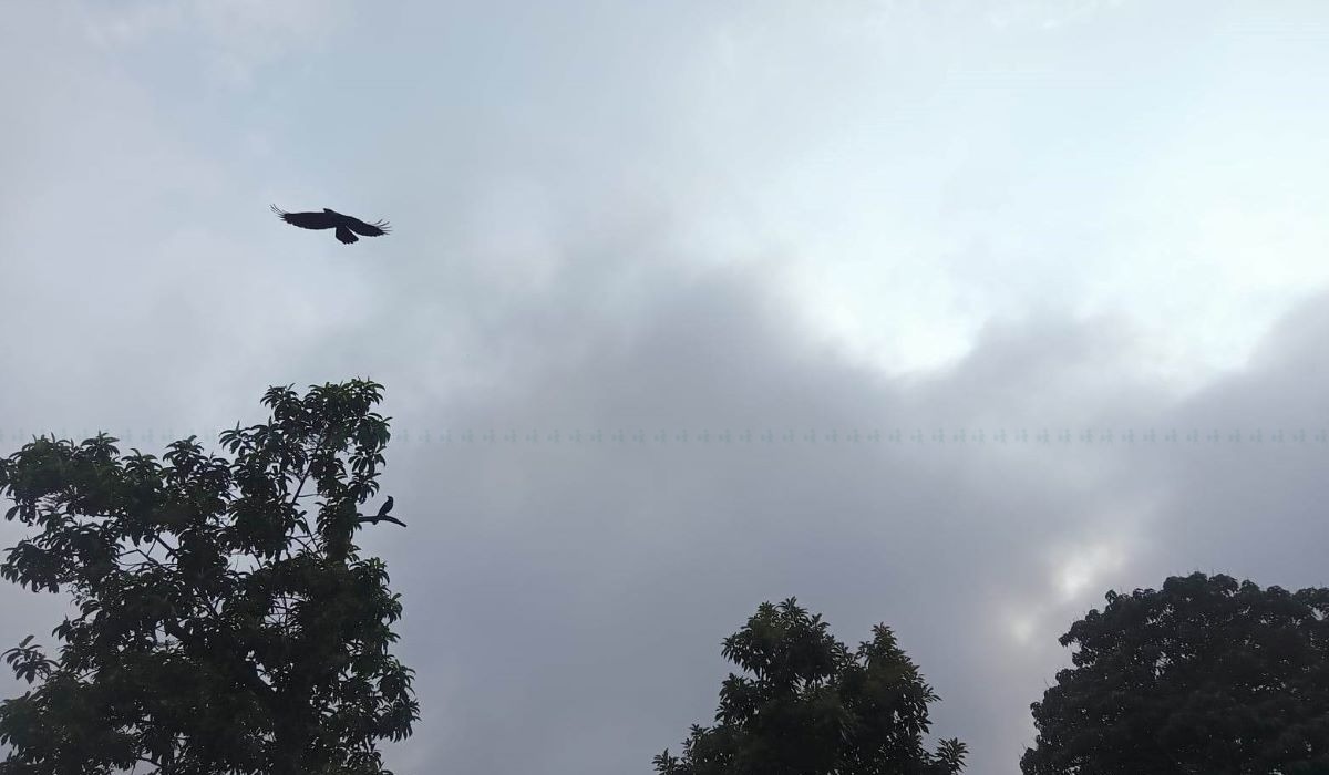 आज यी स्थानमा हल्का वर्षा र हिमपातको सम्भावना