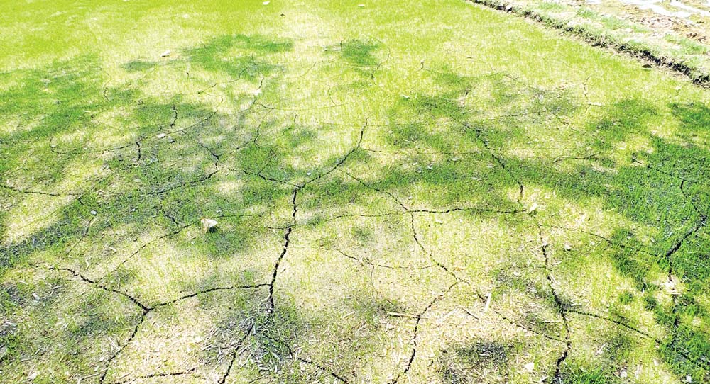 तापलहरले तराईको जनजीवन प्रभावित
