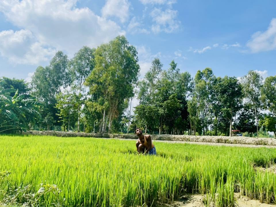 महोत्तरीमा धान रोपाइँ प्रभावित : मल,बीउ र सिँचाइ अभावले किसान संकटमा