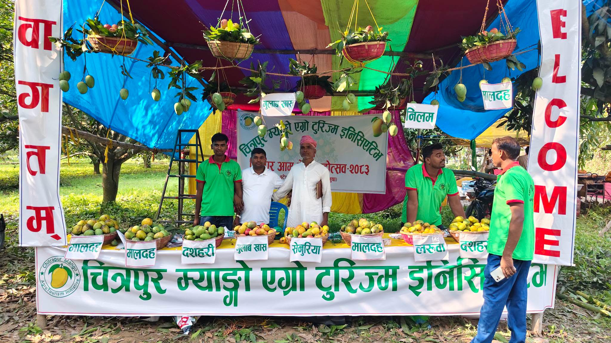 बटेश्वर- चित्रपुरमा तीनदिने आँप महोत्सव सुरु