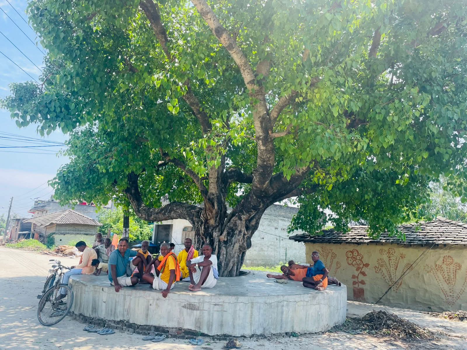 अत्यधिक गर्मीले मधेशको जनजीवन प्रभावित