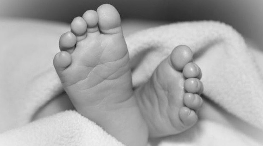 बयलगाडाले किचेर नौ वर्षीय बालकको मृत्यु, खैरु पण्डितको खोजी जारी