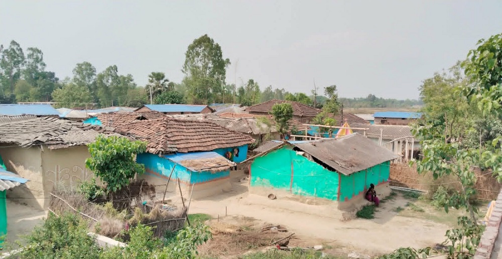 खुला दिसामुक्त घोषणा, मुसहर बस्ती शौचालयविहीन