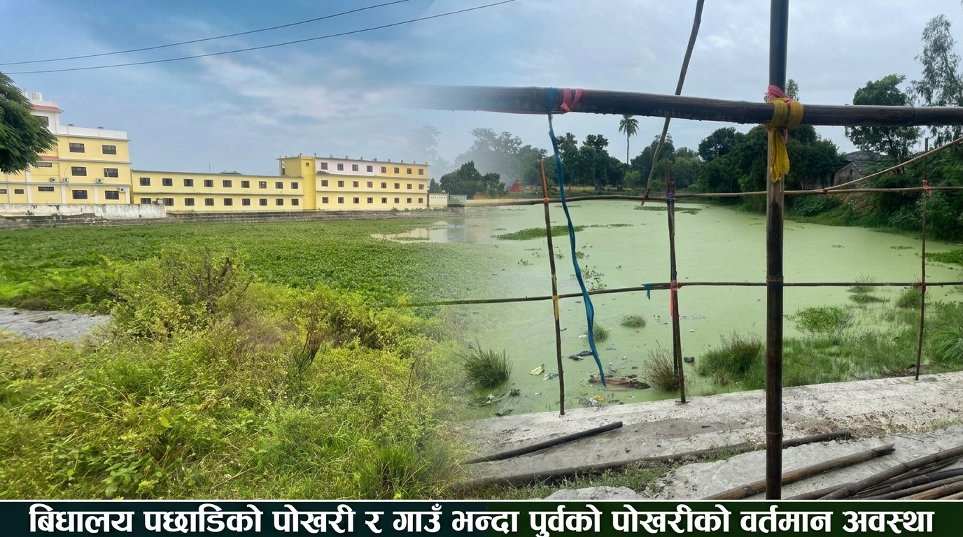 जलकुम्भीले भरिए औरहीका दुई छठघाट,सरसफाइमा नगरपालिकाको बेवास्ता